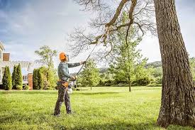 Best Firewood Processing and Delivery  in Hillsbo, OR