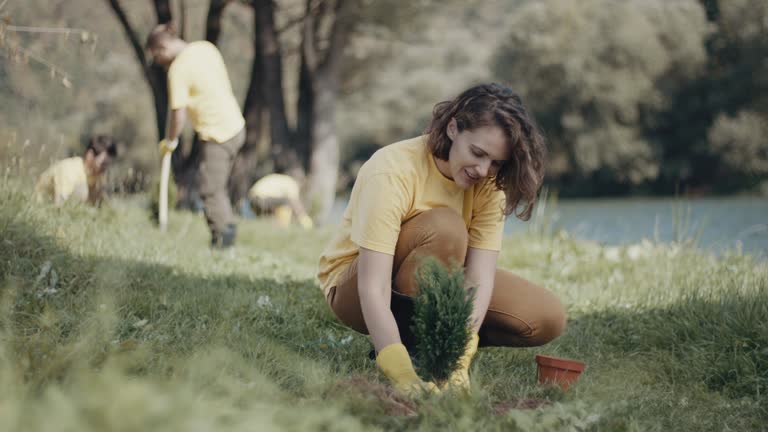 Best Lawn Drainage Solutions  in Hillsbo, OR